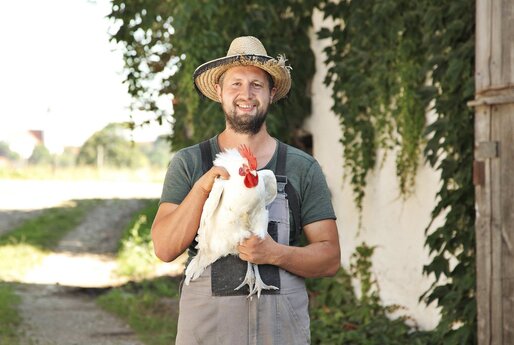 Farmer from Locking poultry farm holds chicken in hand