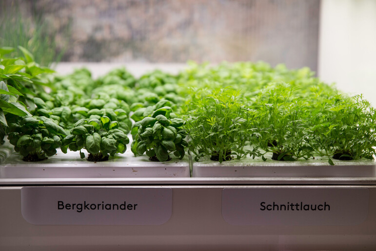Plant breeding by Infarm 