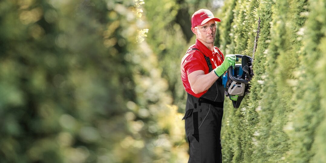 Gardener cuts hedge 