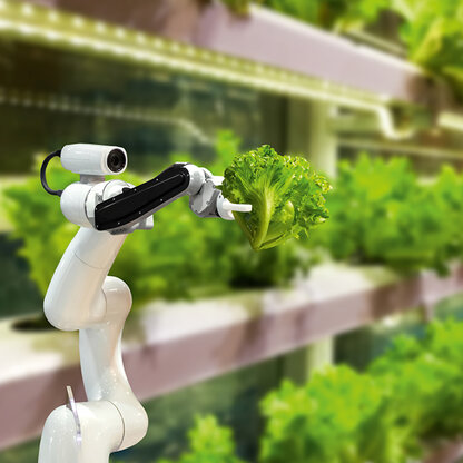 Robot keeps salad