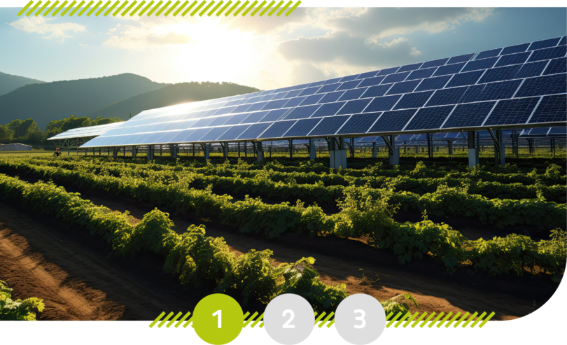 Trend 1: Sustainability in the corporate culture Solar panel on a field